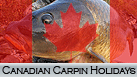 Canadian Carpin Holidays - Fish for the impeccable wild carp the St. Lawrence River