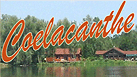 Coelacanthe - Village de pêche