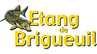 Etang de Brigueuil