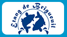 Etang de Brigueuil