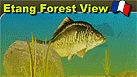 Etang Forest View - Carp Fishing Holidays in France