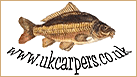 UK Carpers
