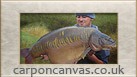 Carp on Canvas - 100% hand painted works of art 