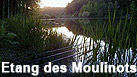 Etang des Moulinots - An exclusive, picturesque and tranquil carp fishery in the Champagne region of France