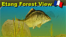 Etang Forest View - New for 2009 Carp Fishing Holidays in France