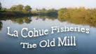 La Cohue Fisheries - Drive and survive French carp fishery