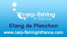Etang de Planchon | Carp fishing within the Haute Vienne region of France