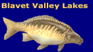 Blavet Valley Lakes - Brittany Carp Fishing Lake