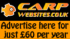 Advertise on Carp Websites