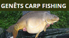 Exclusive use including accommodation & optional food package for up to 4 people. Established as a carp fishing lake since 2004 with a stock of stunning looking carp to over 60lb.